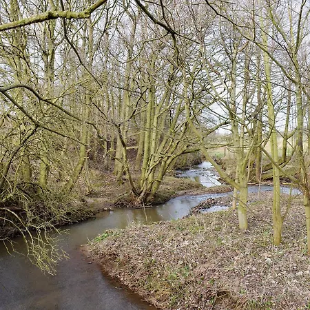 Ruperts Stable Дом отдыха *